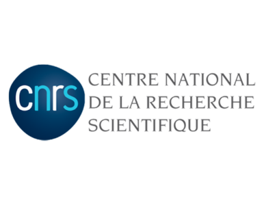Logo CNRS